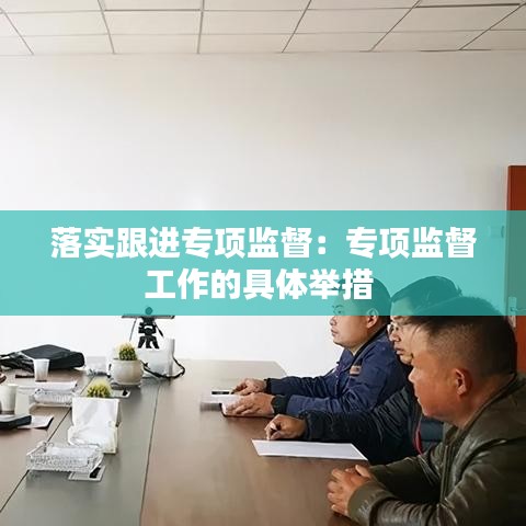 落實(shí)跟進(jìn)專項(xiàng)監(jiān)督：專項(xiàng)監(jiān)督工作的具體舉措 