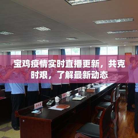 寶雞疫情實時直播更新，共克時艱，了解最新動態(tài)
