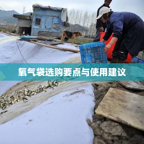 氧氣袋選購指南，要點解析與使用建議