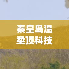 秦皇島溫柔頂科技榮獲創(chuàng)新獎(jiǎng)，引領(lǐng)行業(yè)潮流，鑄就典范地位