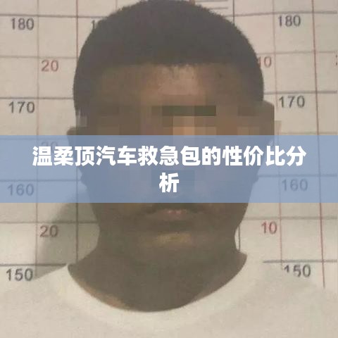 溫柔頂汽車救急包，性價(jià)比解析