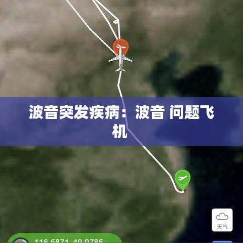 波音突發(fā)疾?。翰ㄒ?問題飛機 