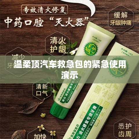 溫柔頂汽車救急包緊急使用指南，演示篇