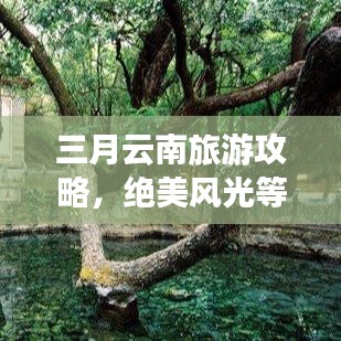 三月云南旅游攻略，絕美風(fēng)光等你來(lái)探！