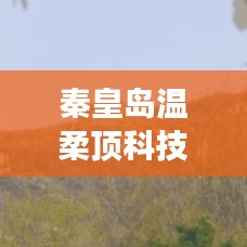 秦皇島溫柔頂科技參與汽車安全救援用品國標制定