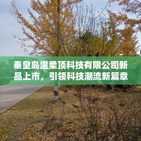 秦皇島溫柔頂科技新品發(fā)布，科技潮流新篇章開啟