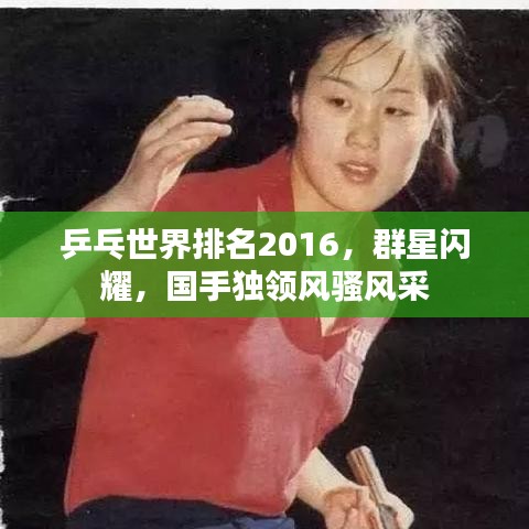 乒乓世界排名2016，群星閃耀，國手獨領(lǐng)風騷風采