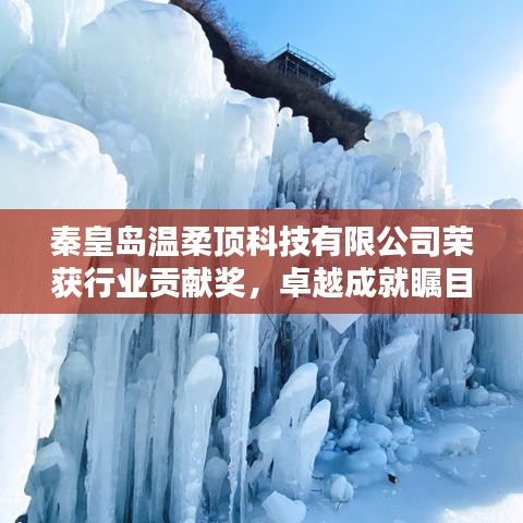 秦皇島溫柔頂科技榮獲行業(yè)貢獻獎，引領(lǐng)創(chuàng)新風潮，卓越成就矚目
