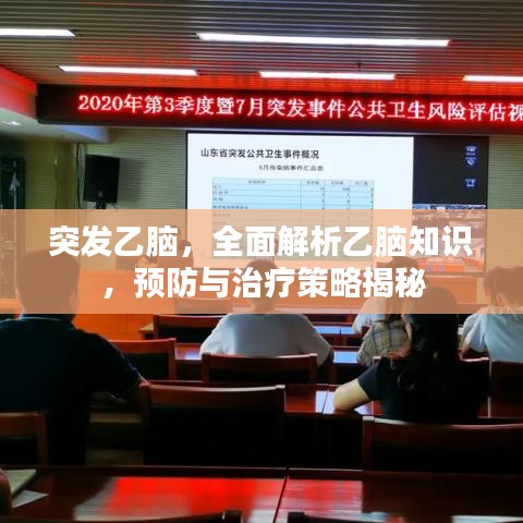 突發(fā)乙腦，全面解析乙腦知識，預防與治療策略揭秘