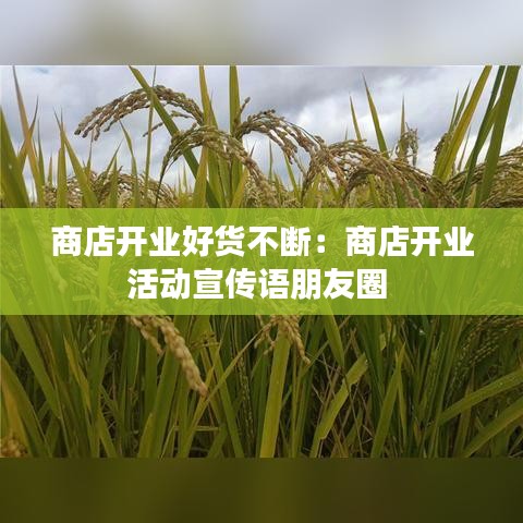 商店開業(yè)好貨不斷：商店開業(yè)活動宣傳語朋友圈 
