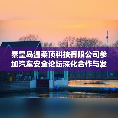 秦皇島溫柔頂科技參加汽車安全論壇，深化合作，共謀發(fā)展