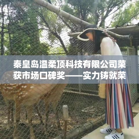 秦皇島溫柔頂科技榮獲市場口碑獎，實力創(chuàng)新，引領(lǐng)未來