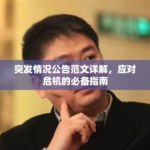 突發(fā)情況公告范文詳解，應(yīng)對危機的必備指南