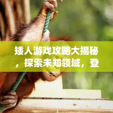 矮人游戲攻略大揭秘，探索未知領域，登頂頂尖玩家之路！