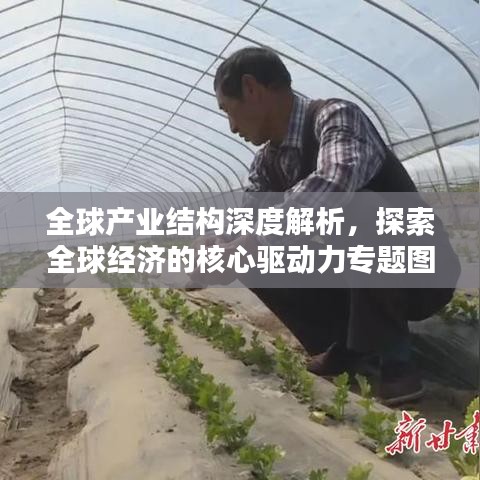 全球產(chǎn)業(yè)結(jié)構(gòu)深度解析，探索全球經(jīng)濟(jì)的核心驅(qū)動(dòng)力專題圖書