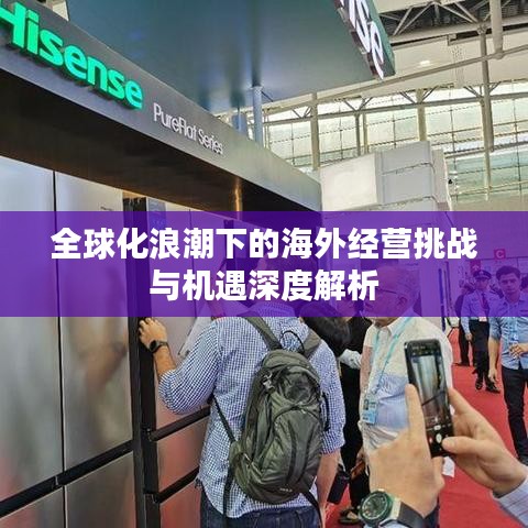 全球化浪潮下的海外經營挑戰(zhàn)與機遇深度解析