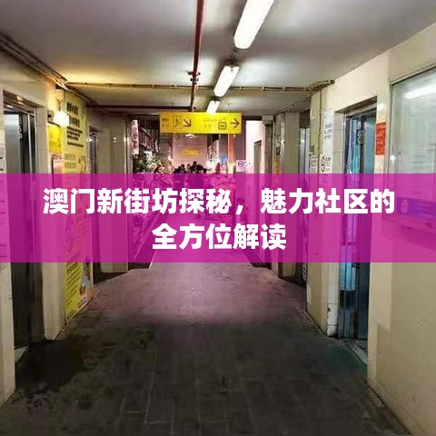 澳門新街坊探秘，魅力社區(qū)的全方位解讀