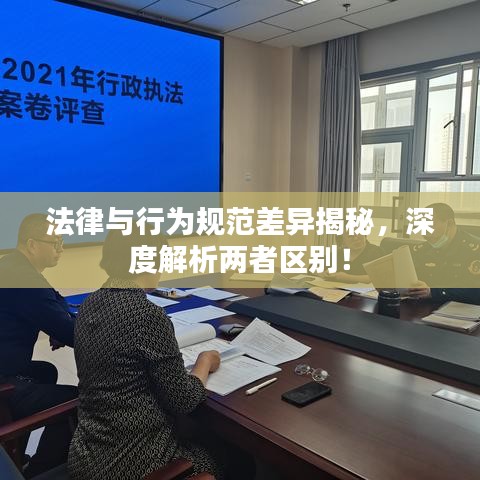 法律與行為規(guī)范差異揭秘，深度解析兩者區(qū)別！