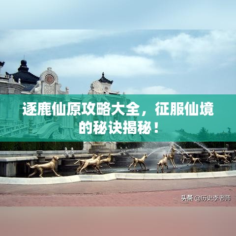 逐鹿仙原攻略大全，征服仙境的秘訣揭秘！