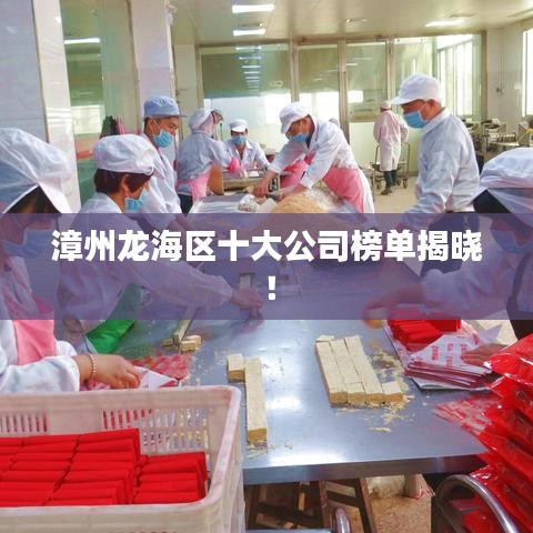 漳州龍海區(qū)十大公司榜單揭曉！