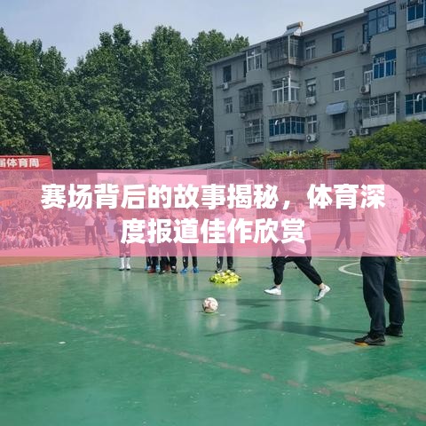 賽場背后的故事揭秘，體育深度報道佳作欣賞