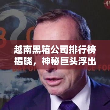 越南黑箱公司排行榜揭曉，神秘巨頭浮出水面