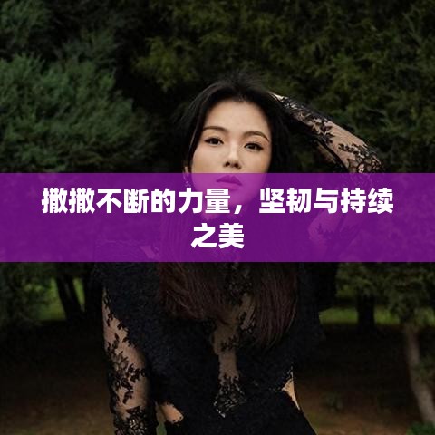 撒撒不斷的力量，堅(jiān)韌與持續(xù)之美