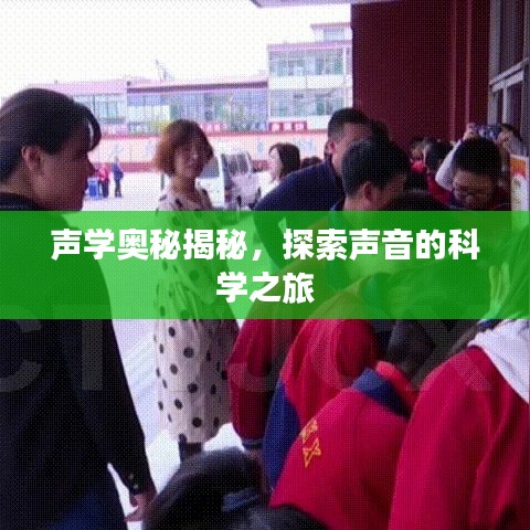 聲學(xué)奧秘揭秘，探索聲音的科學(xué)之旅