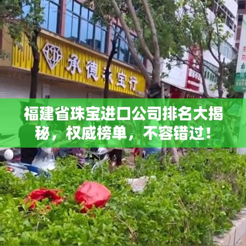 福建省珠寶進(jìn)口公司排名大揭秘，權(quán)威榜單，不容錯(cuò)過！