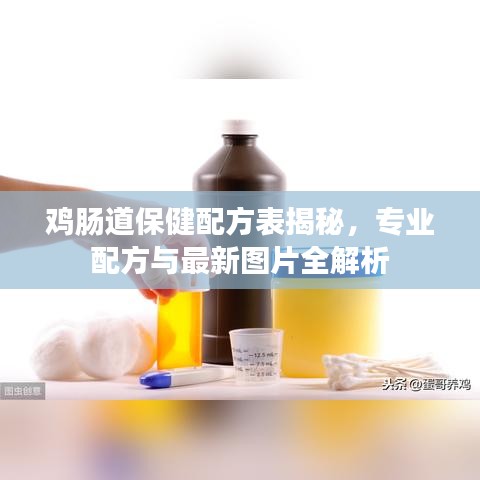 雞腸道保健配方表揭秘，專業(yè)配方與最新圖片全解析