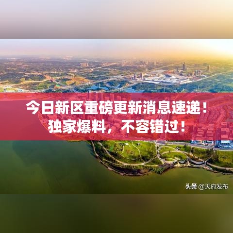 今日新區(qū)重磅更新消息速遞！獨家爆料，不容錯過！