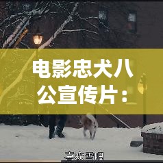 電影忠犬八公宣傳片：電影忠犬八公國(guó)語(yǔ)在線(xiàn)觀看完整 