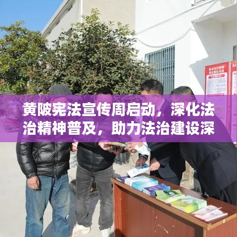 舉步如飛 第3頁(yè)