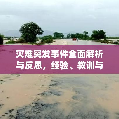 災(zāi)難突發(fā)事件全面解析與反思，經(jīng)驗(yàn)、教訓(xùn)與應(yīng)對(duì)策略