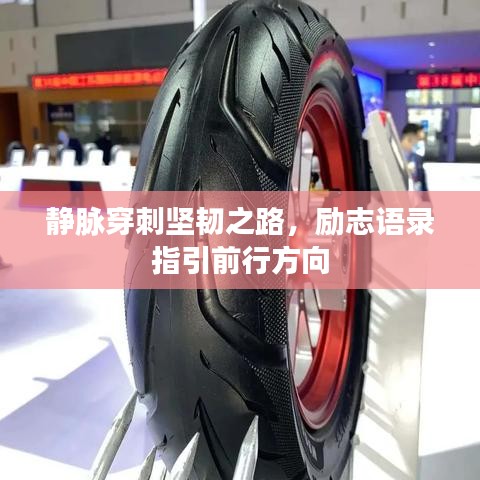 靜脈穿刺堅(jiān)韌之路，勵(lì)志語錄指引前行方向
