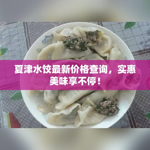 夏津水餃最新價格查詢，實惠美味享不停！