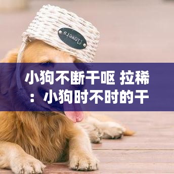 小狗不斷干嘔 拉?。盒」窌r不時的干嘔但吃喝拉撒正常 