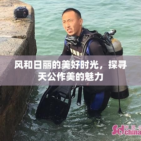 風和日麗的美好時光，探尋天公作美的魅力