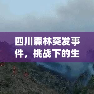 四川森林突發(fā)事件，挑戰(zhàn)下的生態(tài)守護與保護重要性