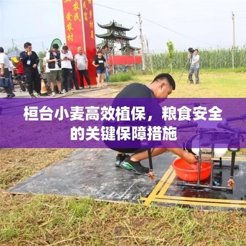 花枝招展 第3頁
