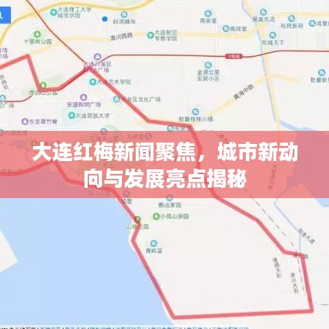 大連紅梅新聞聚焦，城市新動(dòng)向與發(fā)展亮點(diǎn)揭秘