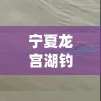 寧夏龍宮湖釣魚秘籍，最新攻略全解析！