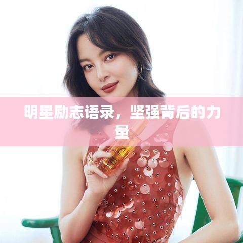 明星勵志語錄，堅強背后的力量