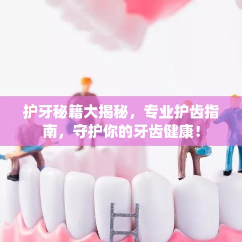 護牙秘籍大揭秘，專業(yè)護齒指南，守護你的牙齒健康！