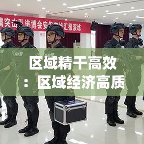 區(qū)域精干高效：區(qū)域經(jīng)濟高質量發(fā)展舉措 