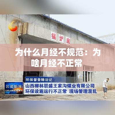差強(qiáng)人意 第2頁