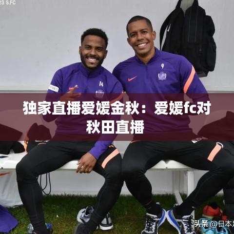 鳥聲獸心 第3頁(yè)