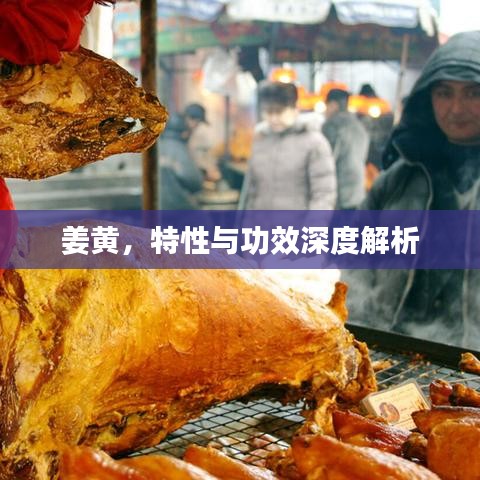 姜黃，特性與功效深度解析