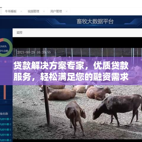 貸款解決方案專家，優(yōu)質(zhì)貸款服務(wù)，輕松滿足您的融資需求！