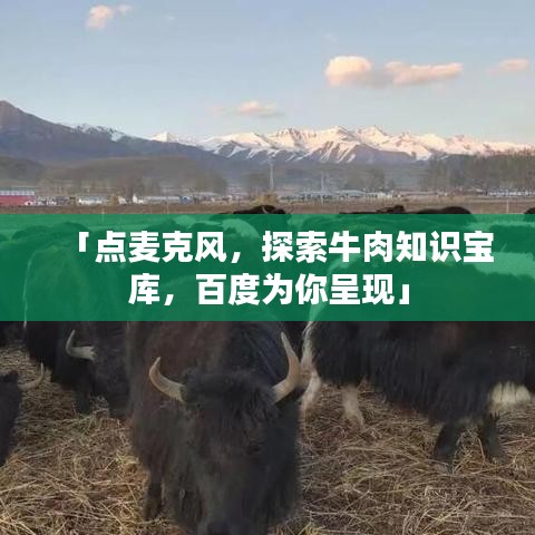 「點(diǎn)麥克風(fēng)，探索牛肉知識(shí)寶庫(kù)，百度為你呈現(xiàn)」